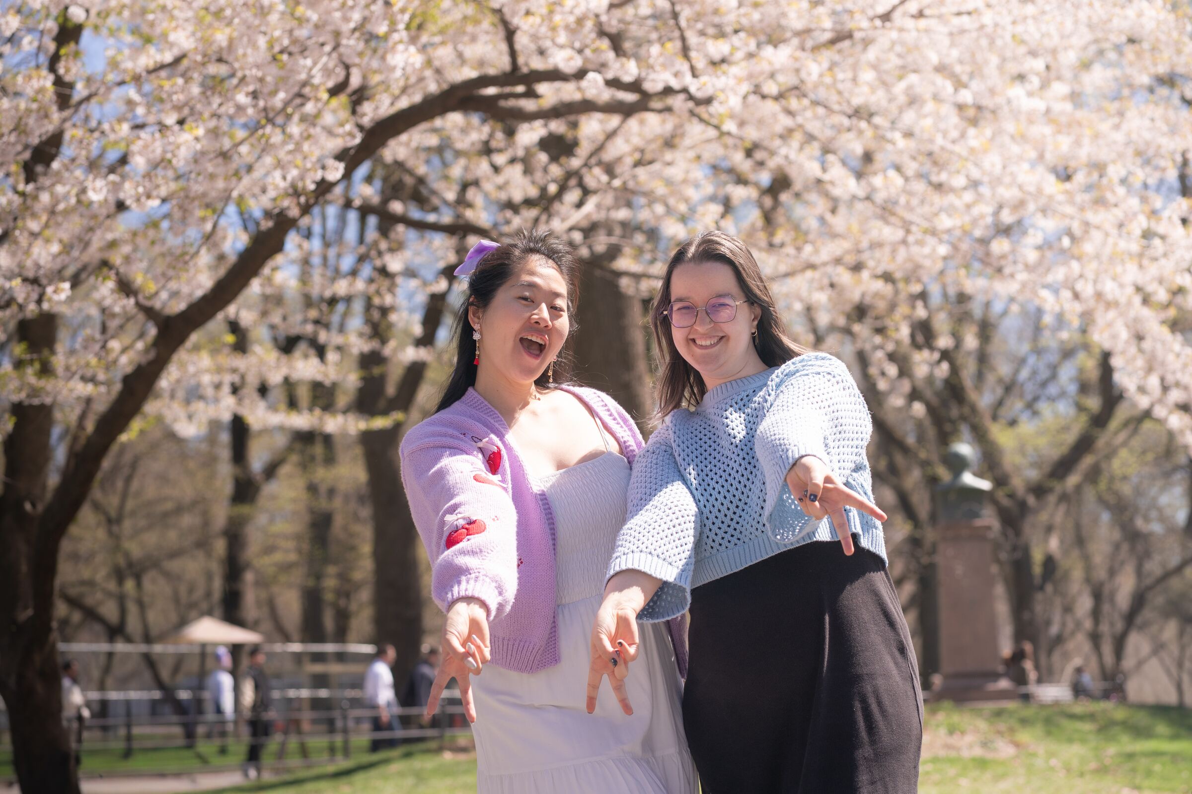 Two friends laughing under cherry blossoms, pointing at the camera